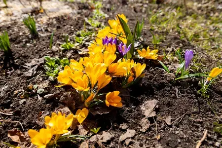 Počasí 15. dubna 2026: Jižní Morava na 18 °C, Beskydy dostaly přes 6 mm deště