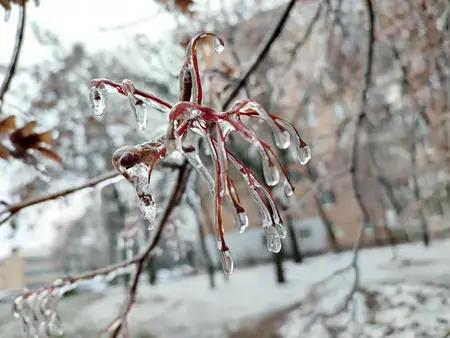 Počasí v Česku 28. března 2026: ranní mrazy do −5,6 °C, Morava pod deštěm