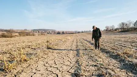 Výhled počasí v ČR: Teplý víkend vystřídá bouřkové ochlazení (18.7. - 25.7.2025)