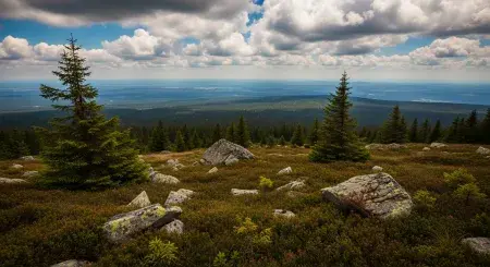 Lekce z indických hor: Jak domorodé tradice mohou pomoci v boji proti klimatické změně