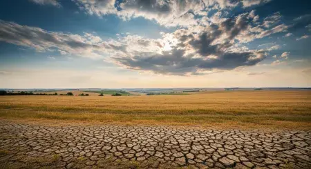 Extrémní vedra mění naši jídelnu: Proč kvůli klimatickým změnám mizí mléko z regálů?