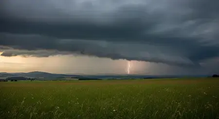 Žáby předpovídají bouřku? Jak zvířata čtou nebe a proč to někdy opravdu funguje