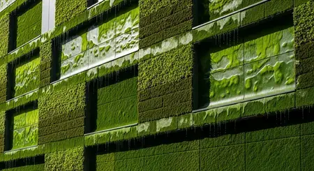 Budovy, které dýchají: švýcarský průlom mění stavebnictví v nástroj boje s klimatem
