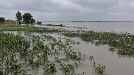 Pákistán přichází o úrodu. Změny klimatu ohrožují 240 milionů lidí